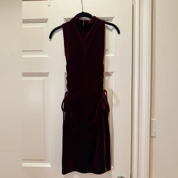 Deep Red Velvet Dress with Gold Side Ties - Picture 8 of 9